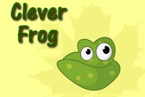 Clever Frog